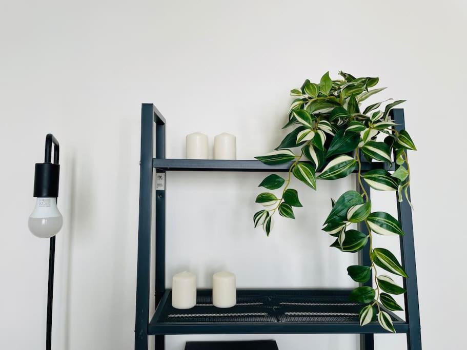 Charming & Cocooning Flat - Canal De L'Ourq 庞坦 外观 照片